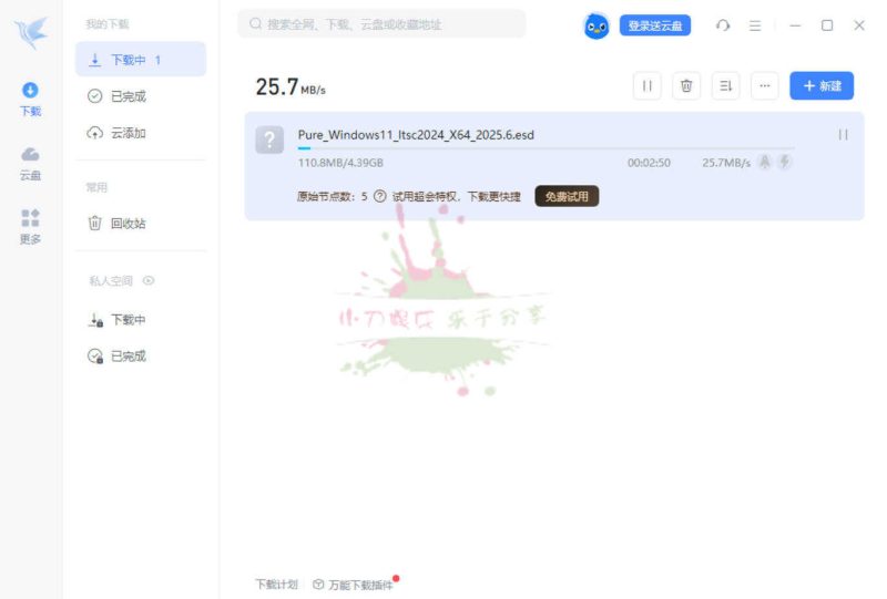 迅雷2025Beta v25.0.3.1090绿色精简版-创码者资源网